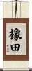 橡田 Scroll