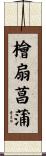 檜扇菖蒲 Scroll