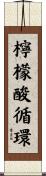 檸檬酸循環 Scroll