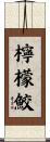 檸檬鮫 Scroll