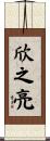 欣之亮 Scroll