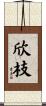 欣枝 Scroll