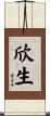 欣生 Scroll