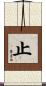 止 Scroll