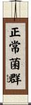正常菌群 Scroll