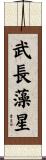 武長藻星 Scroll