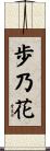 歩乃花 Scroll