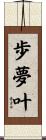 歩夢叶 Scroll