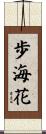 歩海花 Scroll