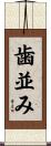 歯並み Scroll