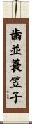 歯並蓑笠子 Scroll