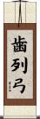 歯列弓 Scroll