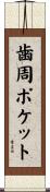 歯周ポケット Scroll