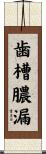 歯槽膿漏 Scroll