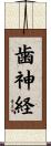 歯神経 Scroll