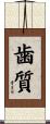 歯質 Scroll