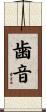歯音 Scroll