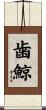 歯鯨 Scroll