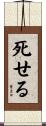 死せる Scroll