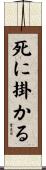 死に掛かる Scroll