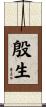 殷生 Scroll