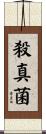 殺真菌 Scroll