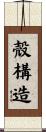 殻構造 Scroll