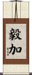 毅加 Scroll