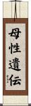 母性遺伝 Scroll