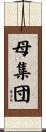 母集団 Scroll