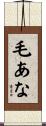毛あな Scroll