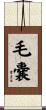 毛嚢 Scroll