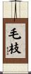 毛枝 Scroll