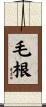 毛根 Scroll