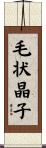 毛状晶子 Scroll