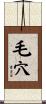毛穴 Scroll
