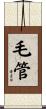 毛管 Scroll