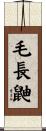 毛長鼬 Scroll