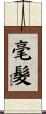 毫髮 Scroll