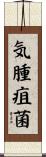 気腫疽菌 Scroll