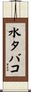 水タバコ Scroll