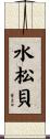 水松貝 Scroll