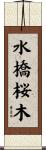 水橋桜木 Scroll