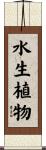 水生植物 Scroll