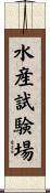 水産試験場 Scroll