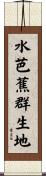 水芭蕉群生地 Scroll