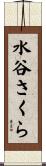 水谷さくら Scroll