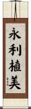 永利植美 Scroll