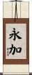 永加 Scroll