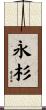 永杉 Scroll